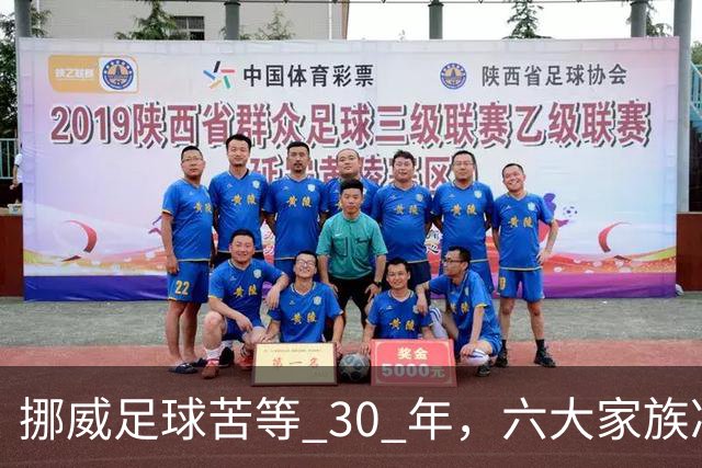 挪威足球苦等 30 年，六大家族凑世界杯主力，老国脚有啥绝招？